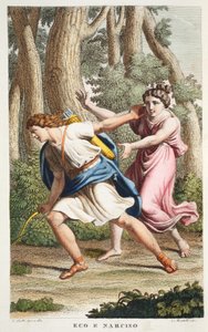 Eco e Narciso ou Eco e Narciso, Livro III, ilustração de Metamorfoses de Ovídio, Florença, 1832 (gravura colorida à mão)
